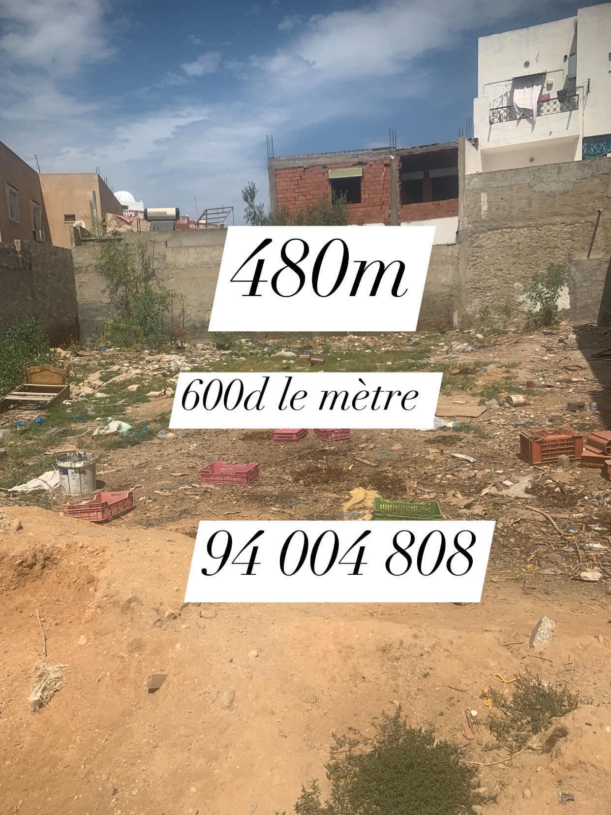 Terrain 480M²