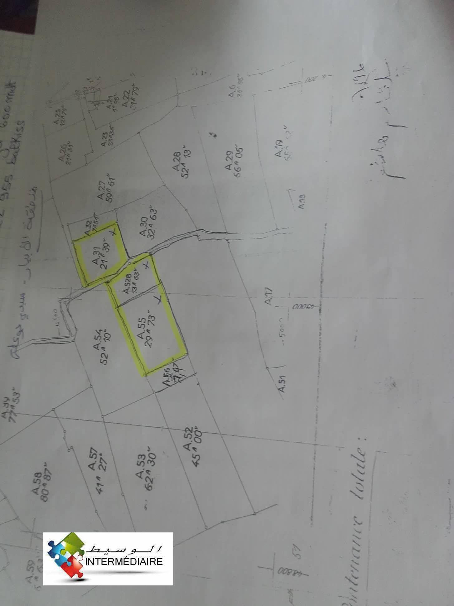 terrain sidi Bou Ali