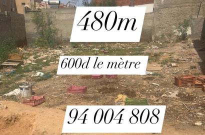 Terrain 480M²