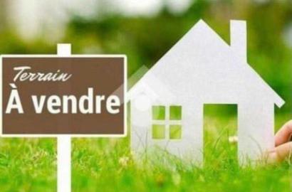 terrain sidi Bou Ali